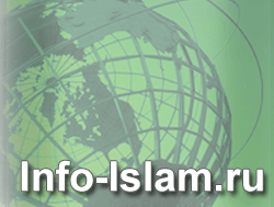 �� �Info-�����