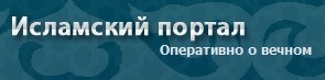 9,95 Kb